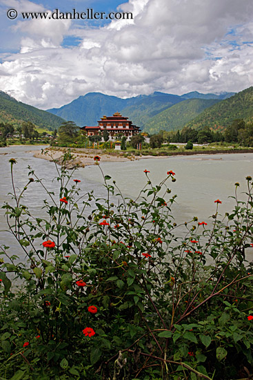 dzong-n-flowers.jpg