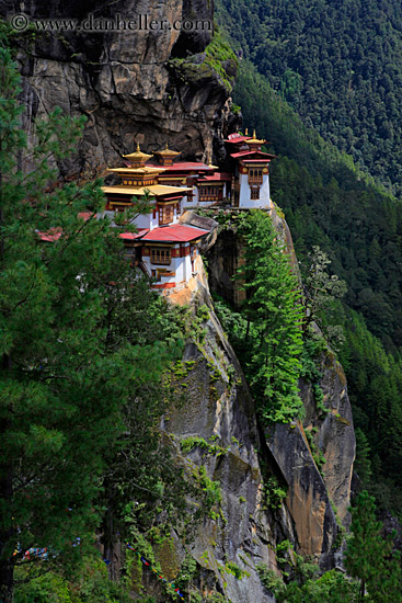 taktsang-n-cliff-w-trees-02.jpg