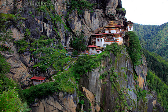 taktsang-n-cliff-w-trees-04.jpg