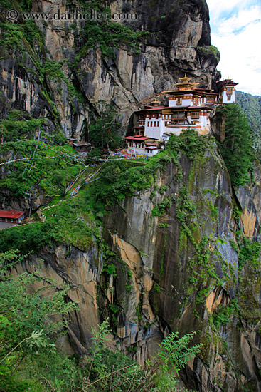 taktsang-n-cliff-w-trees-05.jpg