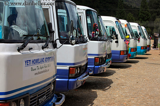 line-of-busses.jpg