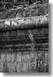 images/Asia/Cambodia/AngkorThom/PalaceGate/plant-growing-from-wall-bw.jpg