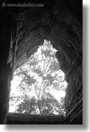 images/Asia/Cambodia/AngkorWat/EastEntrance/tree-thru-hole-bw.jpg