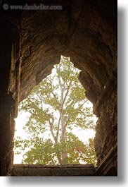 images/Asia/Cambodia/AngkorWat/EastEntrance/tree-thru-hole.jpg