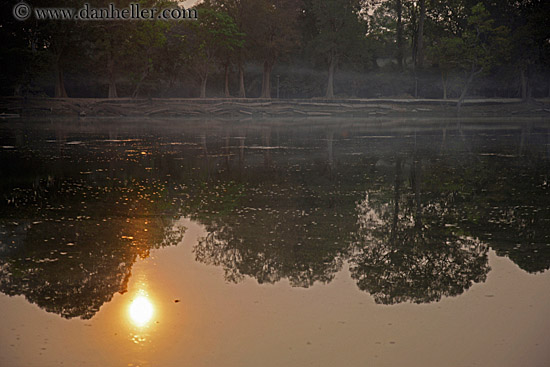 sunrise-moat-n-trees-3.jpg