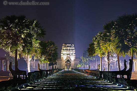 palm-trees-lit-path-to-west-gate-1.jpg