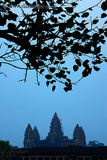 towers-n-leaves-sil.jpg