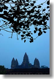 images/Asia/Cambodia/AngkorWat/Towers/towers-n-leaves-sil.jpg