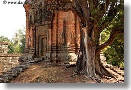 images/Asia/Cambodia/Bakong/tree-n-brick-temple.jpg