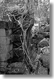 images/Asia/Cambodia/BengMealea/roots-on-stone-wall-1.jpg