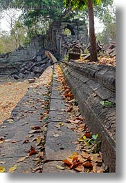 images/Asia/Cambodia/BengMealea/stairs-leaves-n-temple-2.jpg