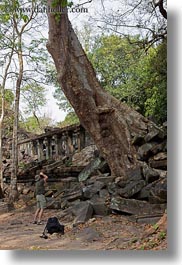 images/Asia/Cambodia/BengMealea/tree-growing-thru-wall-1.jpg