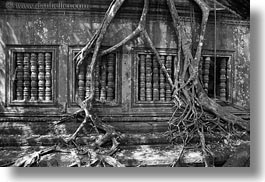 images/Asia/Cambodia/BengMealea/trees-growing-thru-windows-4.jpg