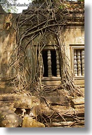 images/Asia/Cambodia/BengMealea/trees-growing-thru-windows-5.jpg