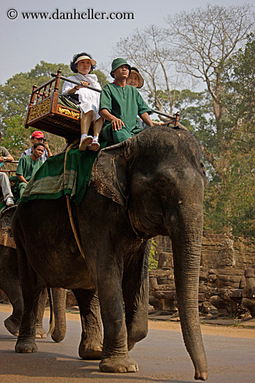 japanese-couple-on-elephant-6.jpg