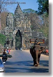 images/Asia/Cambodia/Gates/SouthGate/man-riding-elephant-2.jpg