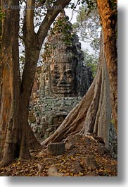 images/Asia/Cambodia/Gates/VictoryGate/victory-gate-face-n-trees-1.jpg