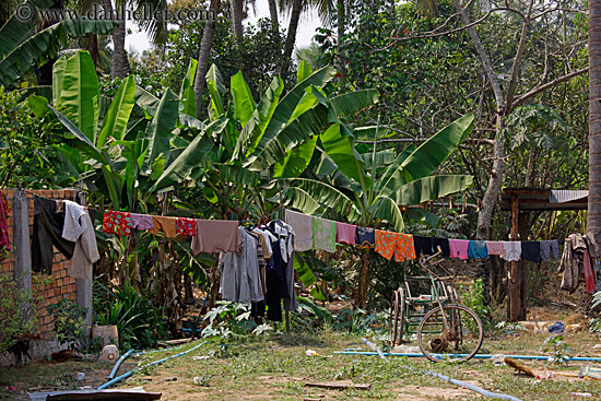 bicycle-n-laundry-2.jpg