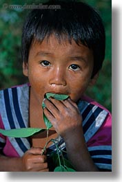 images/Asia/Cambodia/People/Boys/boy-eating-leaf-2.jpg