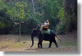 images/Asia/Cambodia/People/ElephantRide/tourists-riding-elephants-01.jpg
