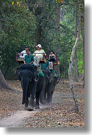 images/Asia/Cambodia/People/ElephantRide/tourists-riding-elephants-06.jpg
