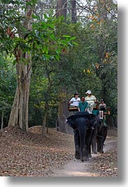 images/Asia/Cambodia/People/ElephantRide/tourists-riding-elephants-08.jpg