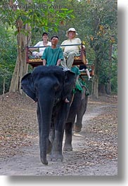 images/Asia/Cambodia/People/ElephantRide/tourists-riding-elephants-09.jpg
