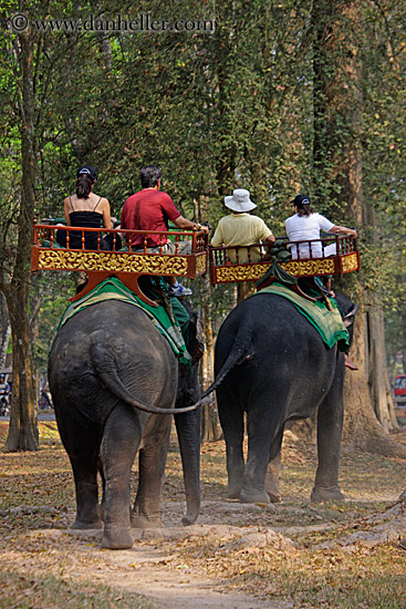 tourists-riding-elephants-13.jpg