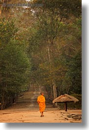 images/Asia/Cambodia/People/Men/monk-walking-down-tree-lined-path.jpg