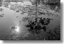 images/Asia/Cambodia/Scenics/Landscape/tree-reflections-in-water-3-bw.jpg