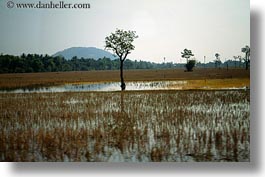 images/Asia/Cambodia/Scenics/Landscape/tree-reflections-in-water-9.jpg