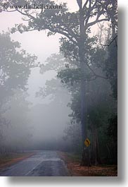 images/Asia/Cambodia/Scenics/Roads/road-n-foggy-trees-2.jpg