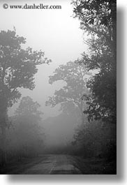 images/Asia/Cambodia/Scenics/Roads/road-n-foggy-trees-3-bw.jpg