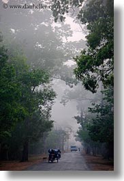 images/Asia/Cambodia/Scenics/Roads/vehicles-on-foggy-tree-lined-road-01.jpg