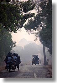 images/Asia/Cambodia/Scenics/Roads/vehicles-on-foggy-tree-lined-road-09.jpg