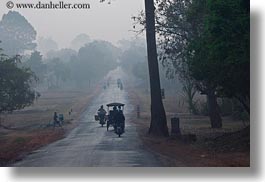 images/Asia/Cambodia/Scenics/Roads/vehicles-on-foggy-tree-lined-road-11a.jpg