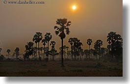 images/Asia/Cambodia/Scenics/Sunset/hazy-sunrise-n-trees-14.jpg