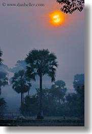 images/Asia/Cambodia/Scenics/Sunset/hazy-sunrise-n-trees-27.jpg