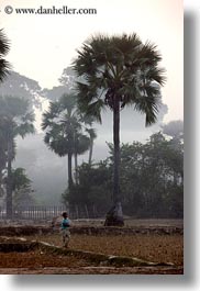 images/Asia/Cambodia/Scenics/Trees/hazy-palm_trees-n-child.jpg