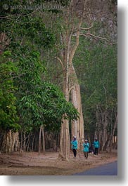 images/Asia/Cambodia/Scenics/Trees/trees-n-street-sweepers-2.jpg