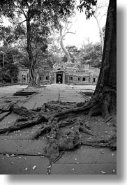 images/Asia/Cambodia/TaPromh/Roots/entry-gate-02-bw.jpg