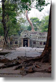 images/Asia/Cambodia/TaPromh/Roots/entry-gate-03.jpg