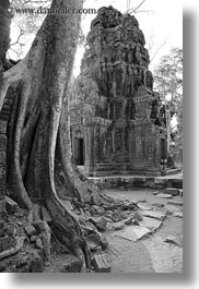 images/Asia/Cambodia/TaPromh/Roots/fin-root-on-ruins-5-bw.jpg