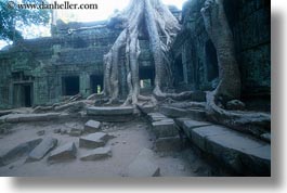 images/Asia/Cambodia/TaPromh/Roots/tree-roots-draping-wall-14.jpg