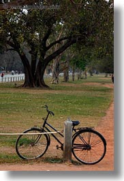 images/Asia/Cambodia/Transportation/bicycle-n-trees.jpg