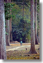 images/Asia/Cambodia/Transportation/girl-on-bike-among-trees.jpg