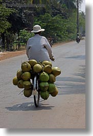 images/Asia/Cambodia/Transportation/man-on-bike-carrying-coconuts-03.jpg