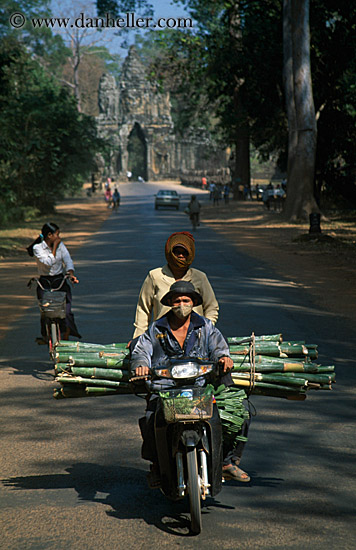 motorcycle-n-bamboo-logs.jpg