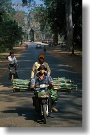 images/Asia/Cambodia/Transportation/motorcycle-n-bamboo-logs.jpg