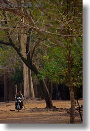images/Asia/Cambodia/Transportation/motorcycle-thru-trees.jpg